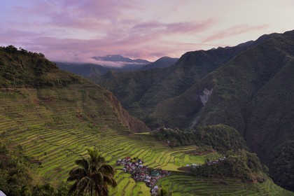Philippines, province d'Ifugao, les rizières en terrasses de Banaue autour du village de Batad, classées Patrimoine Mondial de l'UNESCO, alimentées par un ancien système d'irrigation depuis la forêt tropicale au-dessus des terrasses, à l'aube