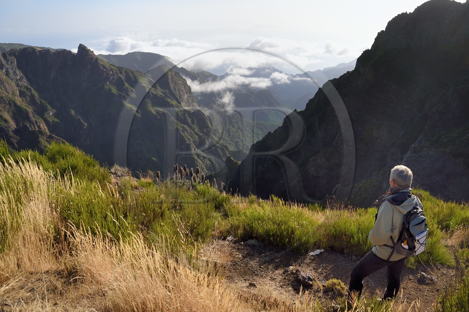 Portugal, Ile de Madère, randonnée sur le Vereda do Areeiro entre les monts Pico Ruivo (1862m) et Pico Arieiro (1817m)