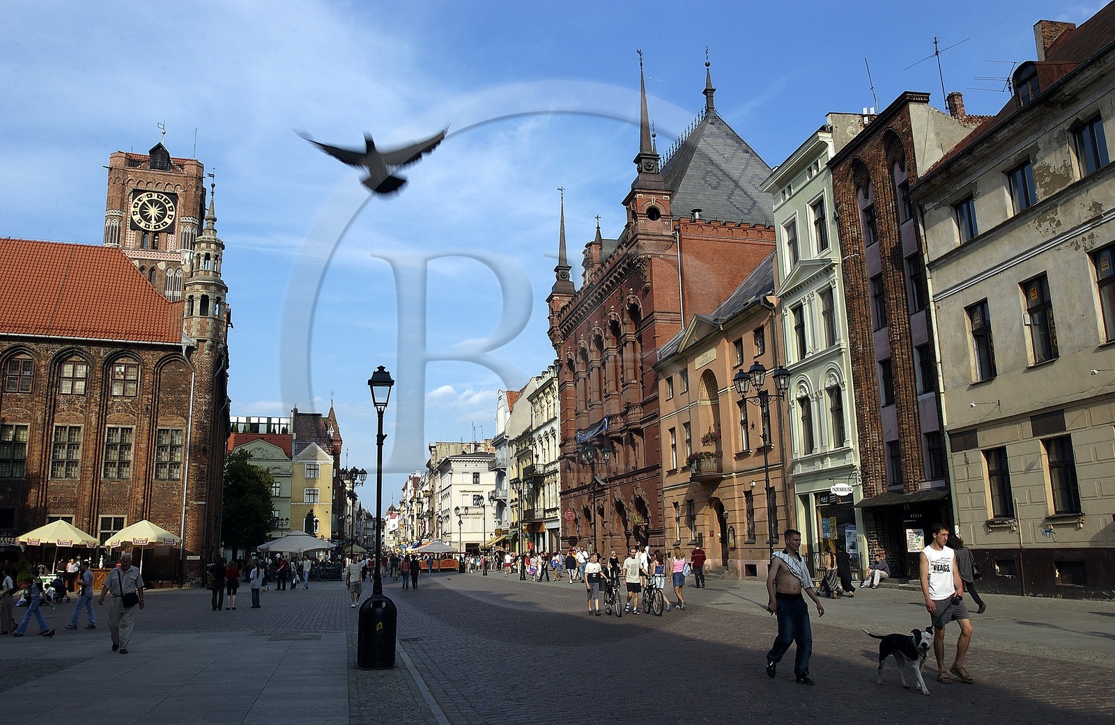 Pologne, Kujavie-Poméranie, ville de Torun, horloge de l' Hôtel de ville et le palais Meissner sur la place du marché dans la vieille ville