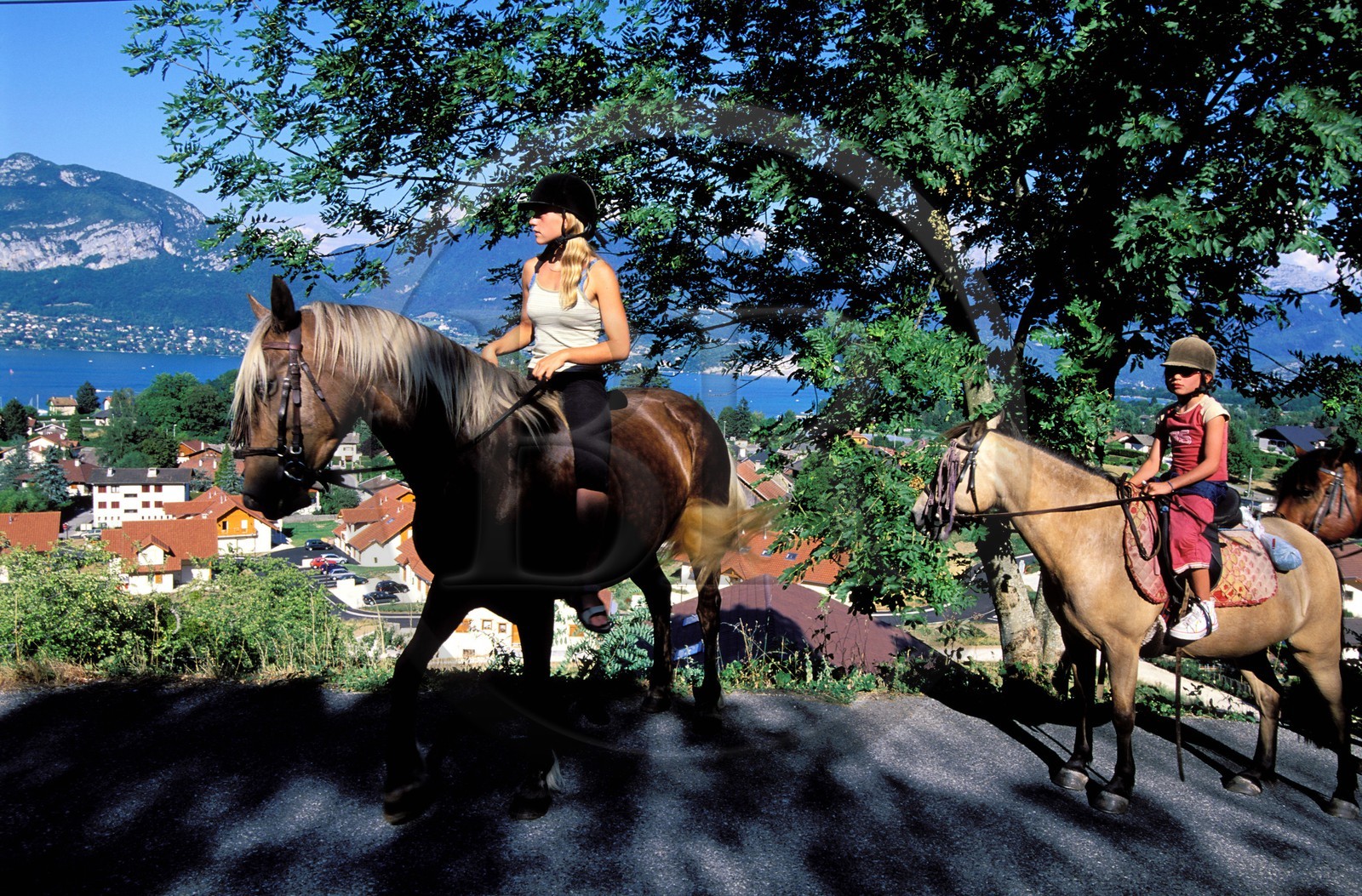France, Haute-Savoie (74), randonnée équestre près du lac d'Annecy