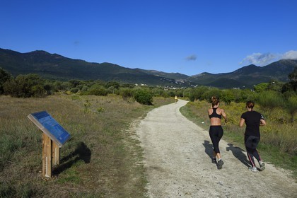 France, Haute-Corse (2B), l'étang de Biguglia (stagnu di Chjurlinu), réserve naturelle de Corse (RNC), jogging matinal sur la piste aménagée