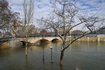 France, Paris (75), les rives de la Seine, classées Patrimoine Mondial de l'UNESCO, la Seine en crue au pont de l'Archevêché et la Cathédrale Notre-Dame sous la neige sur l'Ile de la Cité