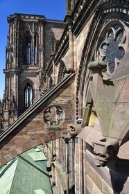 France, Bas-Rhin (67), Strasbourg, vieille ville classée au Patrimoine Mondial de l'UNESCO, la cathédrale Notre-Dame, arcs-boutants de la facade sud et gargouilles