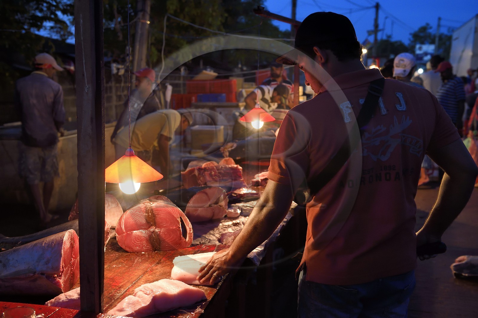 Sri Lanka, Province de l'Ouest, Negombo, vente de la peche de la nuit à la halle aux poisson du port