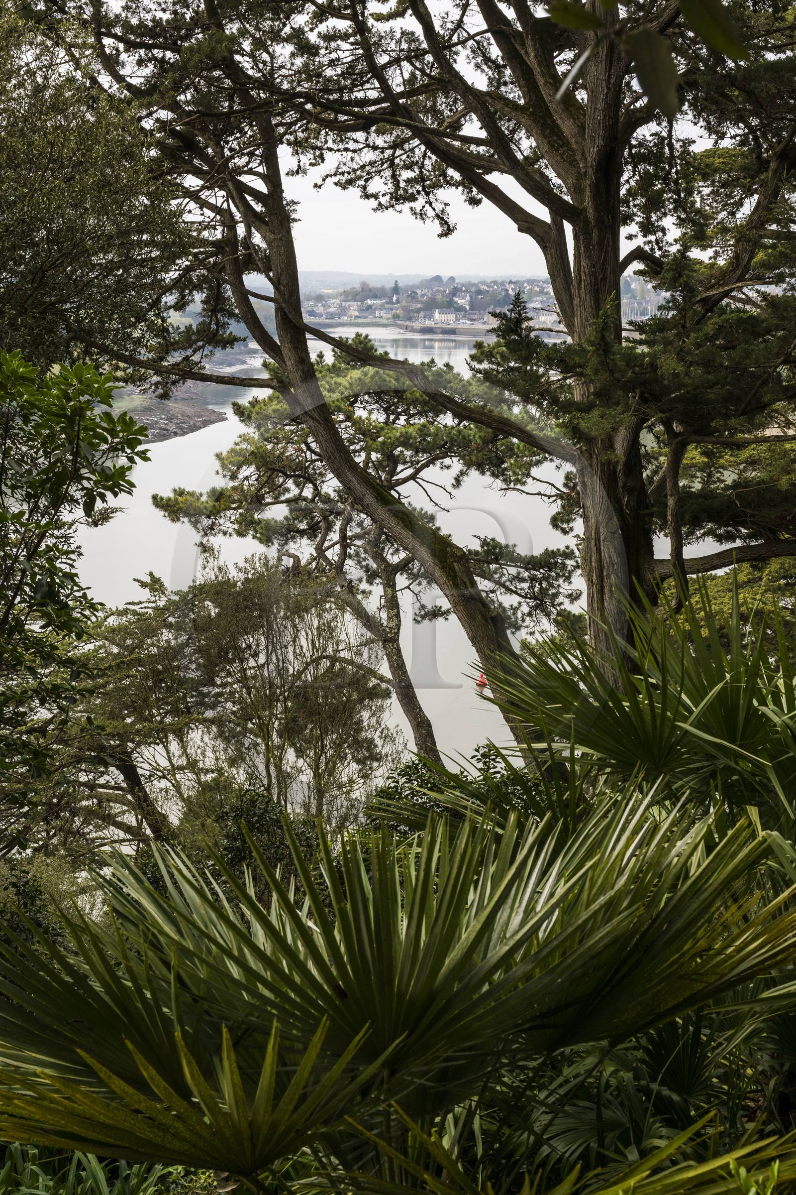 France, Côtes-d'Armor, Plouguiel, the Kestellic Botanical Garden, classified as a remarkable garden, overlooking the Jaudy river