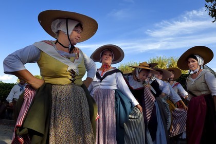 France, Var (83), Massif des Maures, Collobrières, groupe de danseurs et musiciens traditionnels provencaux à la fêtes de la châtaigne