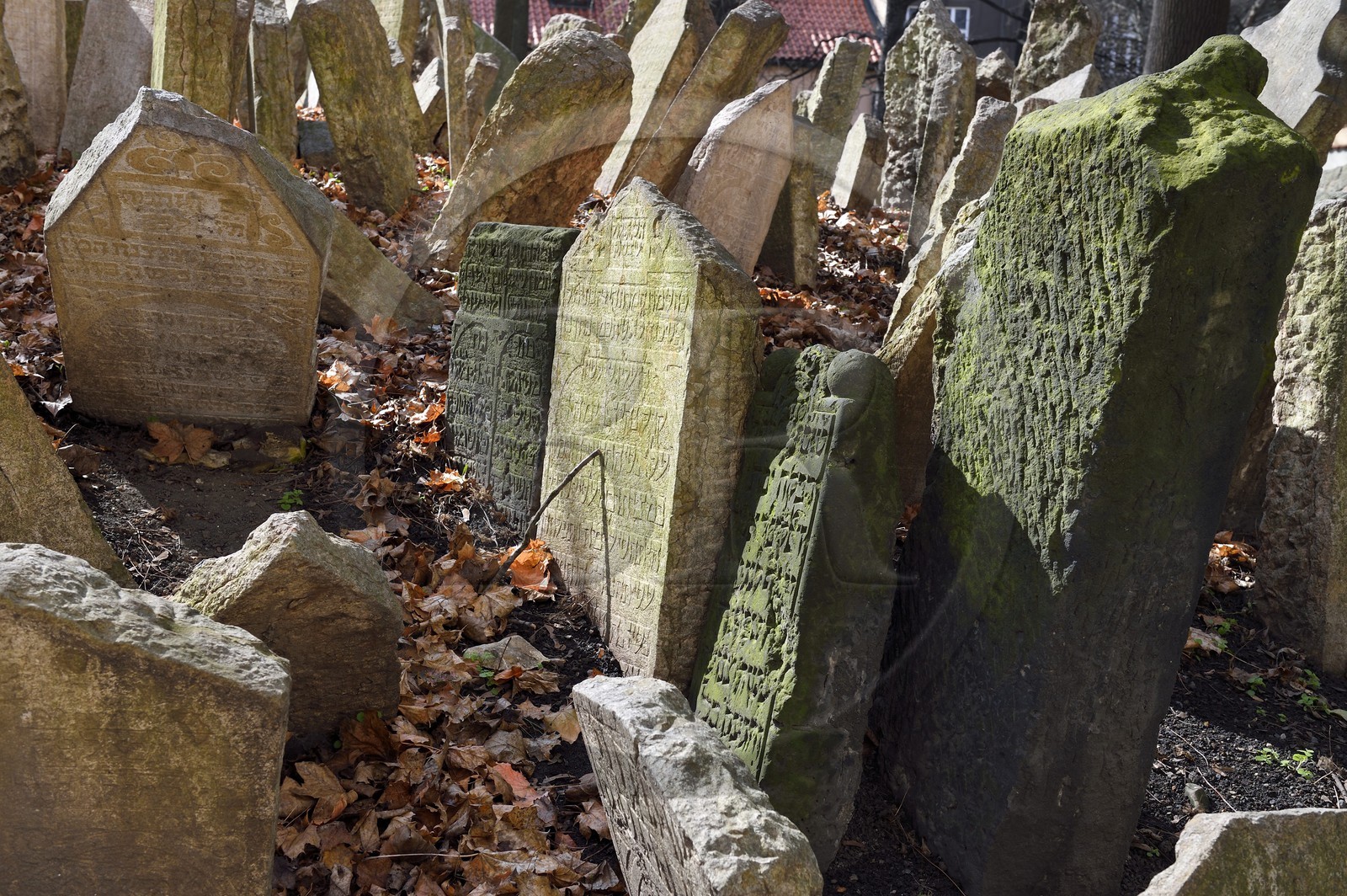 République Tchèque, Prague, centre historique classé Patrimoine Mondial de l'UNESCO, quartier juif de Josefov, cimetière juif