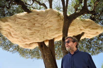 France, Alpes-Maritimes, Saint Paul de Vence, Olivier Kaeppelin President of the International Biennale of Saint-Paul de Vence, La Nebuleuse des  Dryades (The Nebula of the Dryads) (2021) work by Charles Le Hyaric