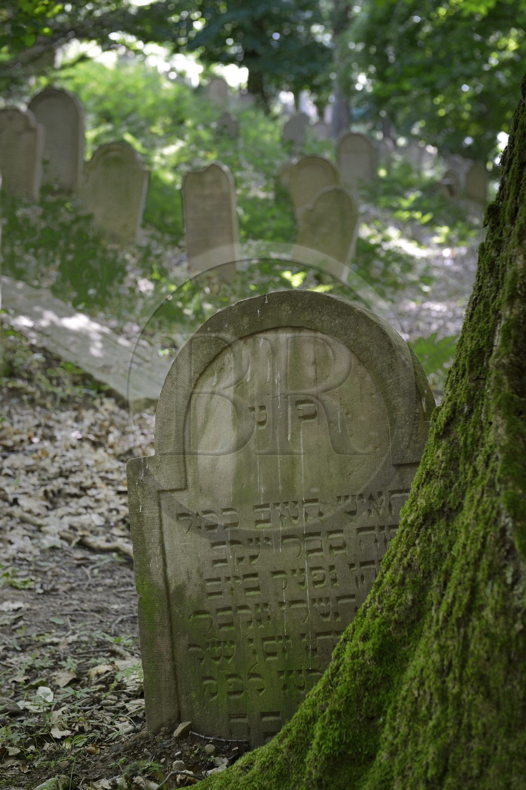France, Bas-Rhin (67), Saverne, ancien cimetière juif