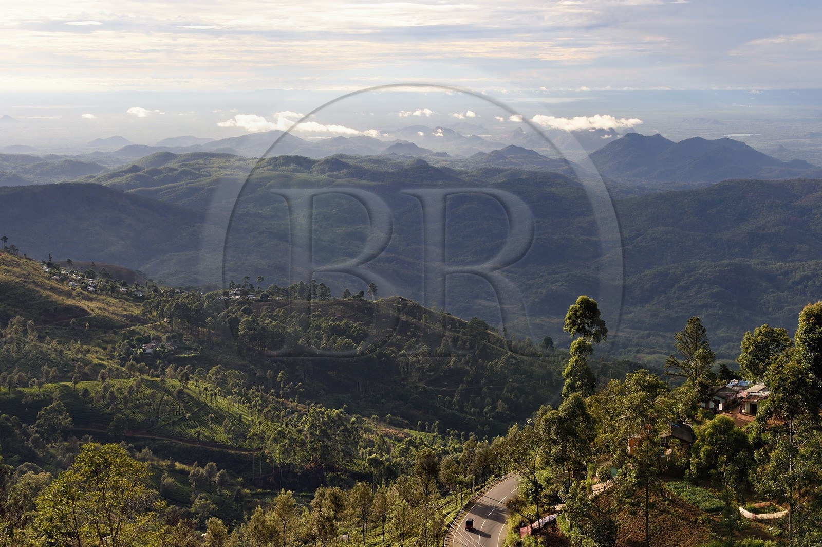 Sri Lanka, Province d'Uva, Haputale, plantation de thé et les collinnes au sud
