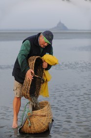 France, Manche (50), Baie du Mont-Saint-Michel, le pêcheur de grève Guy Jugan relevant ses filets de crevettes grises à l'aube