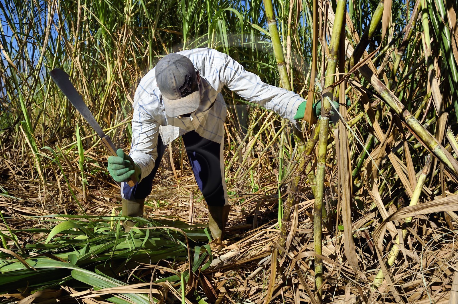 France, Ile de la Reunion, Petite-Ile,