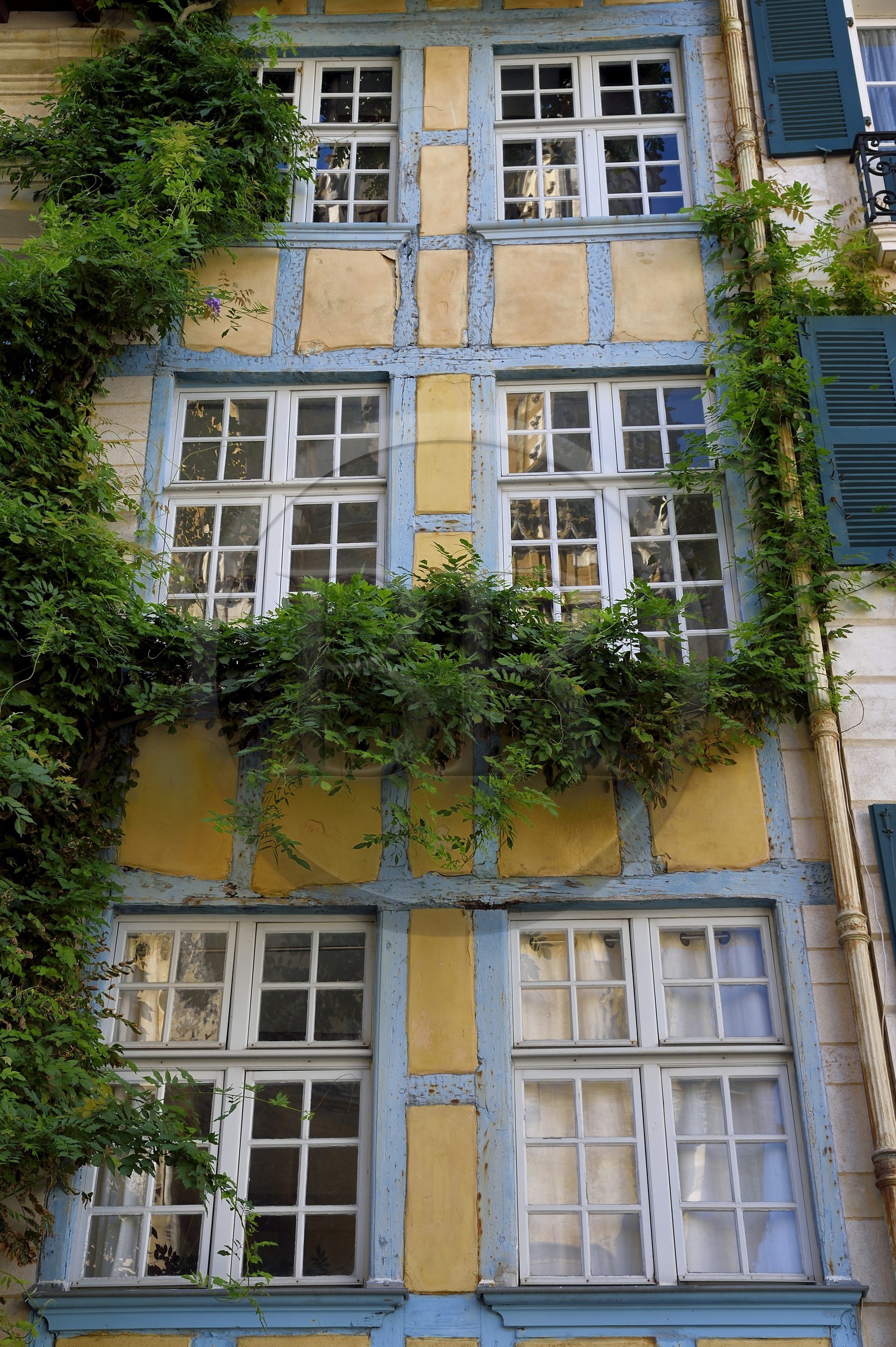 France, Pyrénées-Atlantiques (64), Pays-Basque, Bayonne, maison traditionnelle à pans de bois rue des Prébendes