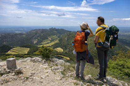 France, Vaucluse, Dentelles de Montmirail mountains, hikers at the top of the Saint-Amand ridges, the Clapis extended by the Grand Montmirail on the left, the Dentelles Sarrasines in the center and the Grand Travers on the right in the background