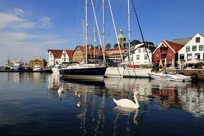 Norvège, Rogaland, Stavanger, bateaux de plaisance et cygnes dans le vieux port (Vagen)