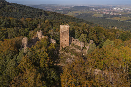 France, Bas-Rhin (67), Heiligenstein, chateau du Landsberg du XIIIème siècle et la plaine d'Alsace en arrière plan (vue aérienne)