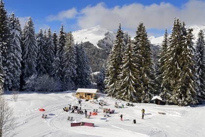 France, Haute Savoie, Morzine, the valley of Aulps, massif of Chablais, ski slopes of the Portes du Soleil, view of Roc d'Enfer (2243m) from Pléney (1554m)