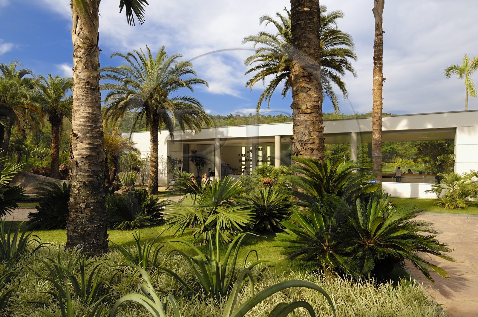 Brésil, Etat du Minas Gerais, région de Belo Horizonte, Brumadinho, centre d'art contemporain Inhotim, Galeria Praça