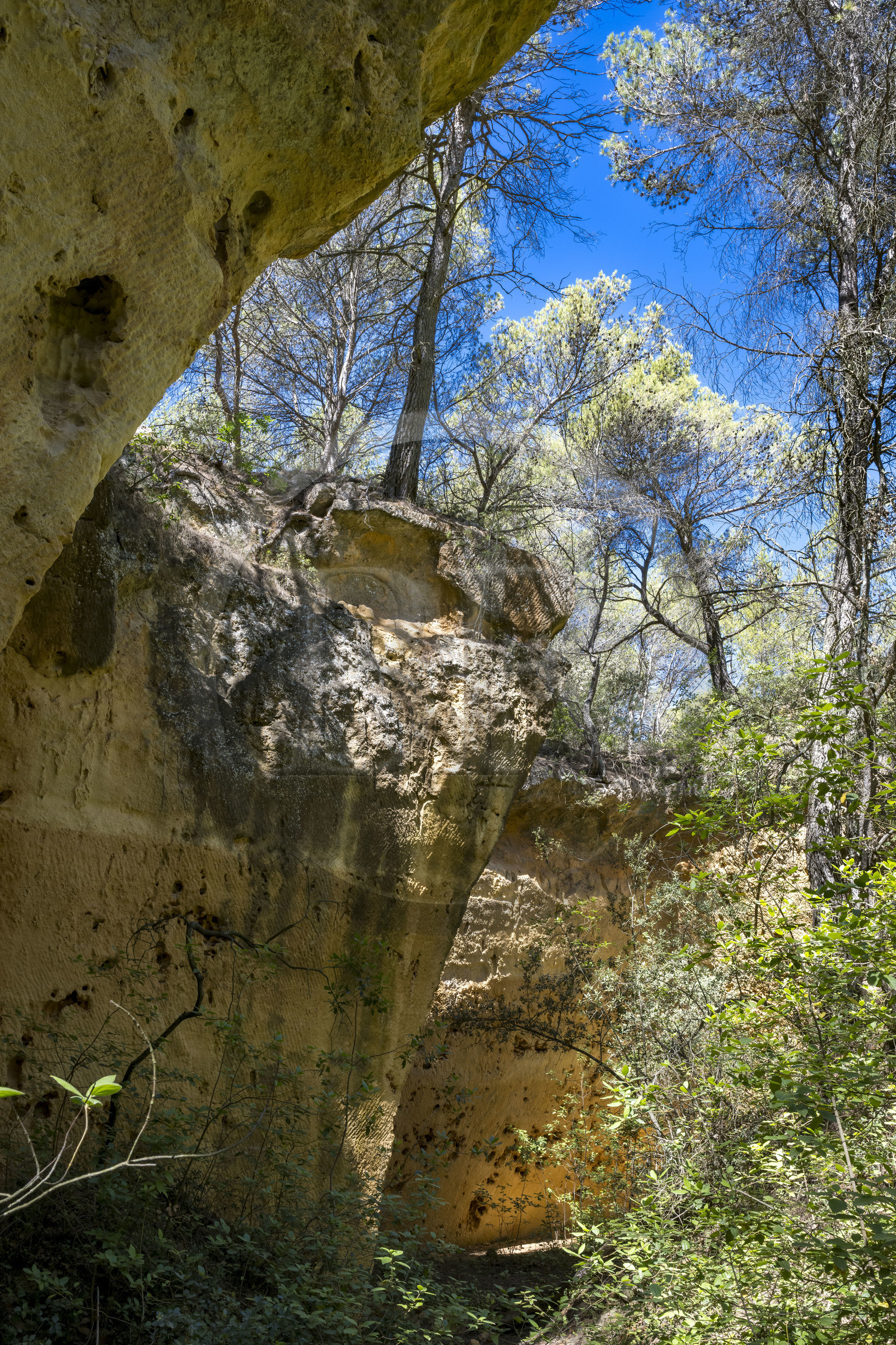 France, Bouches-du-Rhône (13), Aix en Provence, plateau de Bibemus, les carrières de Bibemus qui ont inspirées de nombreuses toiles de Cézanne