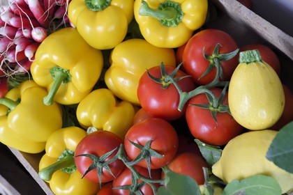 France, Alpes-Maritimes (06), Antibes, panier de légumes