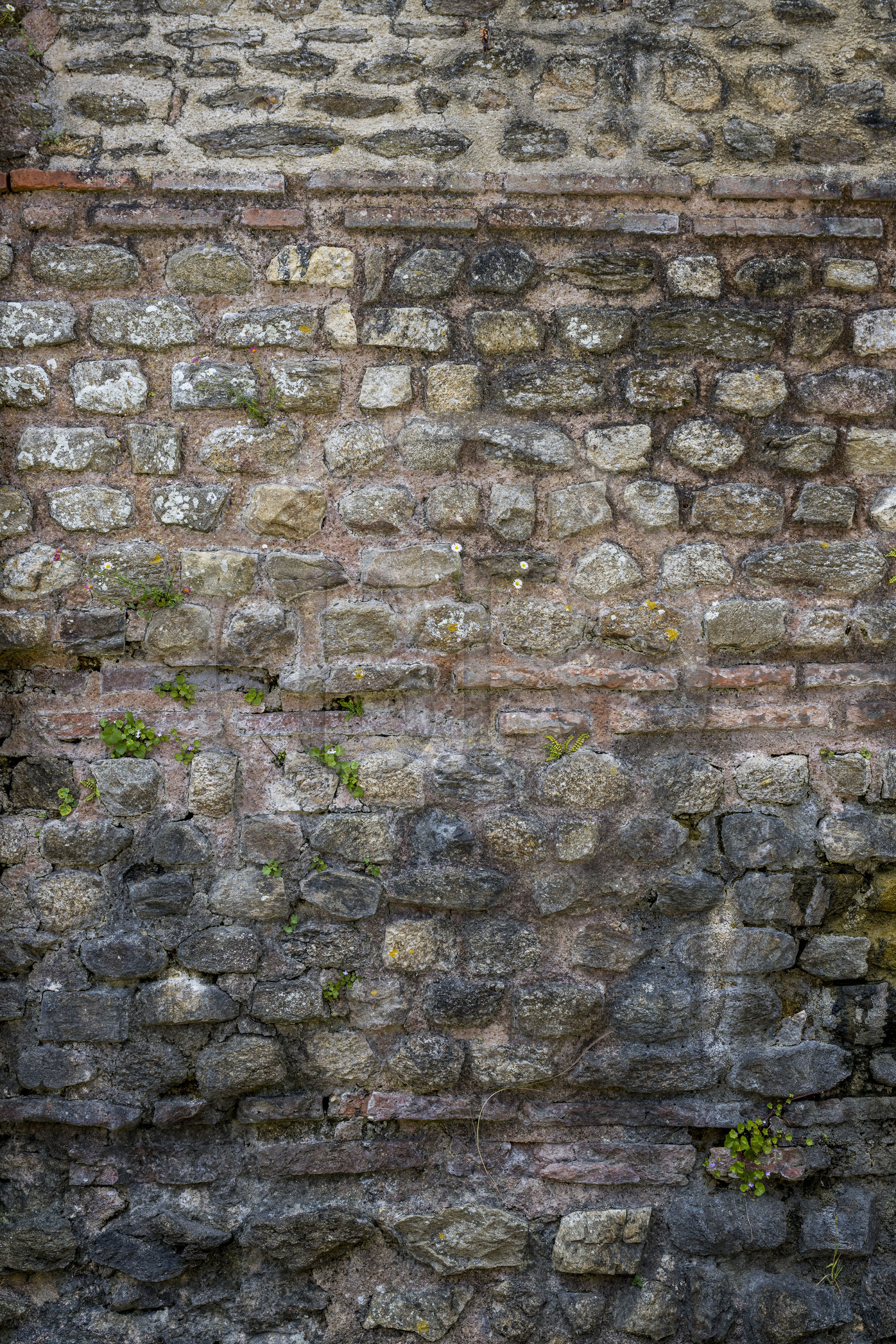 France, Finistère (29), Brest, le château qui abrite le musée national de la Marine, mur gallo-romain