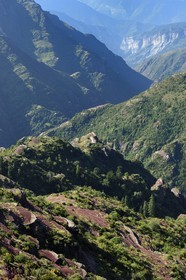 France, Alpes Maritimes, Mercantour Massif, L'Ilion, on the heights of the Gorges of Cians in red lutite soil