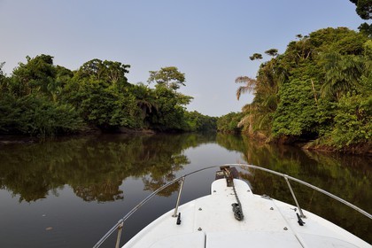 Gabon, province de Ogooué- Maritime, une des nombreuses rivières de la lagune du Fernan Vaz (Nkomi)