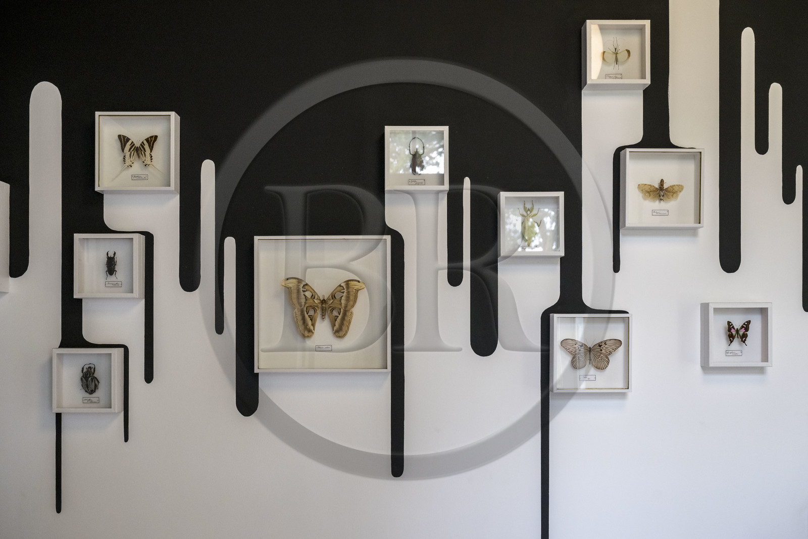 France, Loire-Atlantique (44), Saint-Jean-de-Boiseau, collection d'art contemporain Estuaire, chambres d'hotes qui sont des Chambres d'artistes au Chateau du Pé, chambre Est-il bien prudent d’envoyer des messages aux extra-terrestres ? crée par Mrzyk et Moriceau