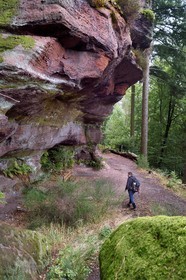 France, Bas-Rhin (67), Parc Naturel régional des Vosges du Nord, La Petite Pierre, randonneuse sur le sentier des Trois Roches au Rocher des Païens