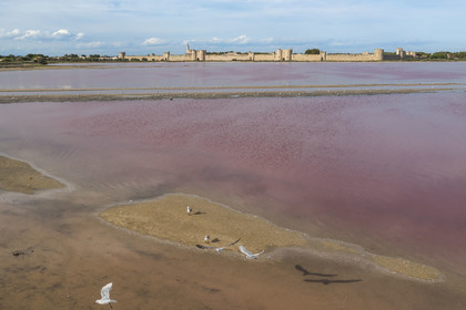 France, Gard (30), Aigues-Mortes, la ville médiévale entourée par ses remparts en bordure des marais salants (Salins du Midi) (vue aérienne)