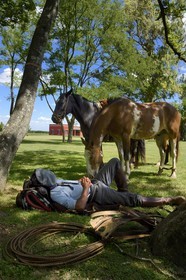 Argentine, province de Buenos Aires, San Antonio de Areco, estancia La Bamba de Areco, gaucho faisant une sieste au campement