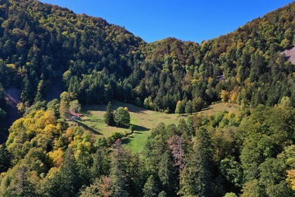 France, Haut Rhin, Ballons des Vosges Regional Natural Park, Storckensohn, la Tete des Perches mountain, the chaume de Gazon vert (extensive altitude grazing), refuge in a former farm (aerial view)