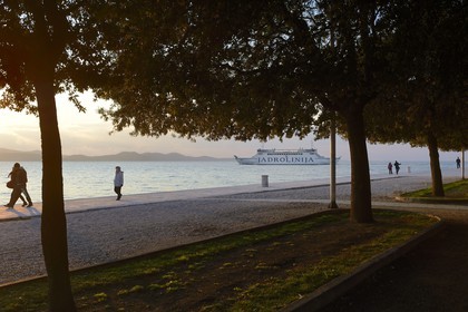 Croatie, Dalmatie, côte dalmate, Zadar, la Riva (promenade du bord de mer)
