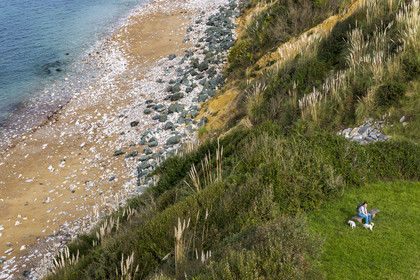 France, Pyrenees Atlantiques, Basque Country coast, Saint-Jean-de-Luz, coastal path on the GR 8 along Erromardie beach (aerial view)