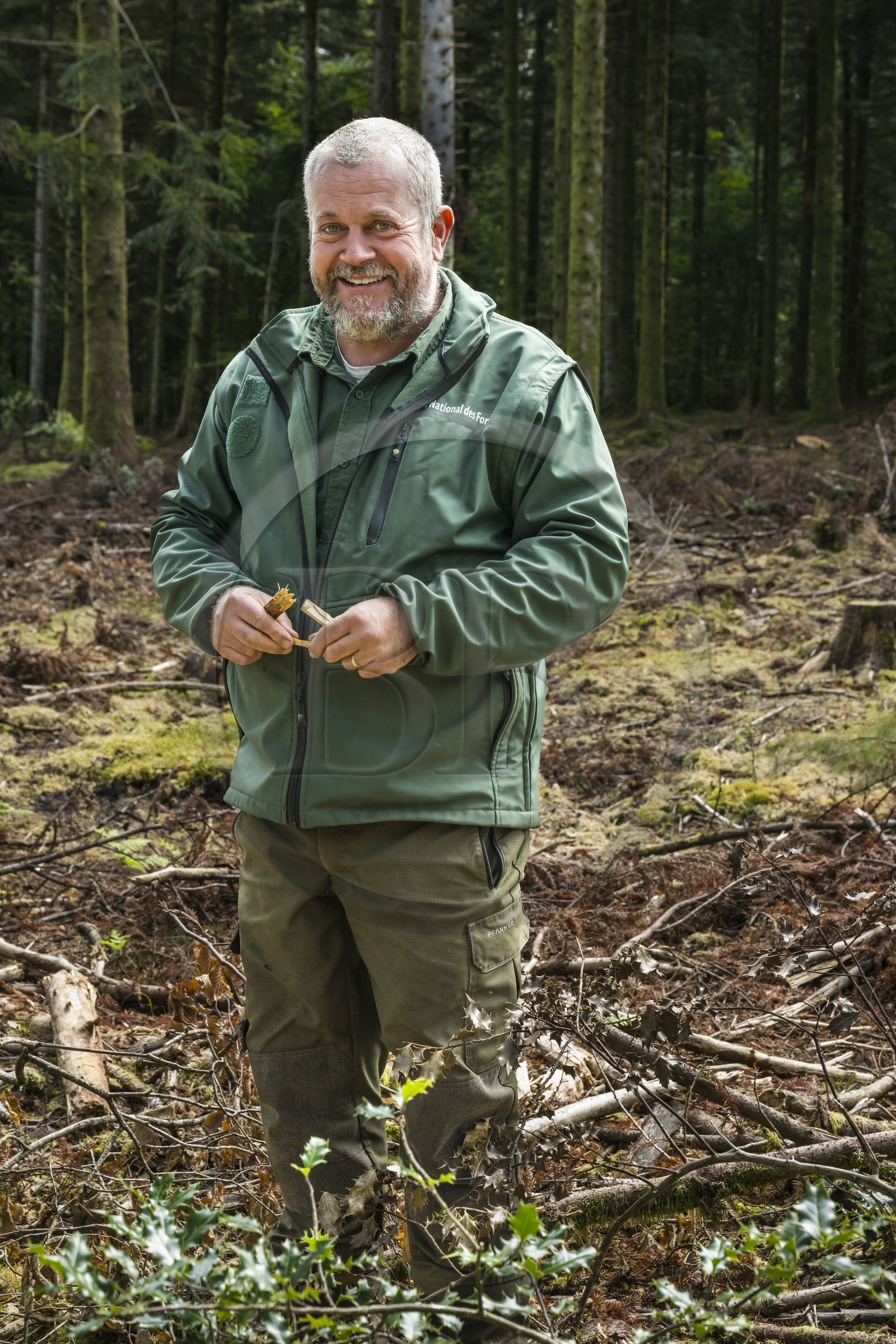 France, Nievre, Regional Natural Park of Morvan, Dun-les-Places, in the forest of Breuil-Chenue at the place called Dolmen de Chevresse, Park ranger at the ONF Arnaud Chassaigne