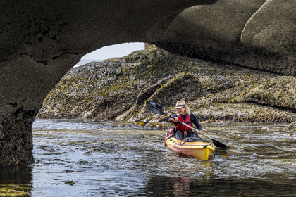 France, Finistère (29), Penmarch, archipel des Étocs, sortie en kayak du Centre nautique du Guilvinec à la découverte du phoque gris (halichoerus grypus) dans les rochers à marée basse
