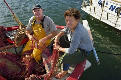 France, Var (83), Iles d'Hyères, parc national de Port Cros, Ile de Porquerolles, le quai des pêcheurs sur le port du village, le couple Martine et Jean Paul Costes sur leur bateau Le Boucanier triant la pêche du matin