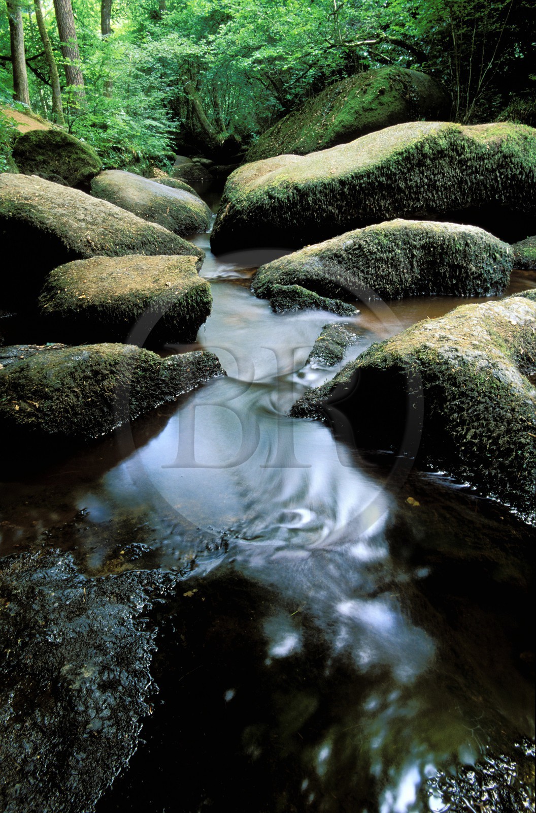 France, Finistère (29), Huelgoat, chaos de rochers, la rivière d'Argent dans la forêt
