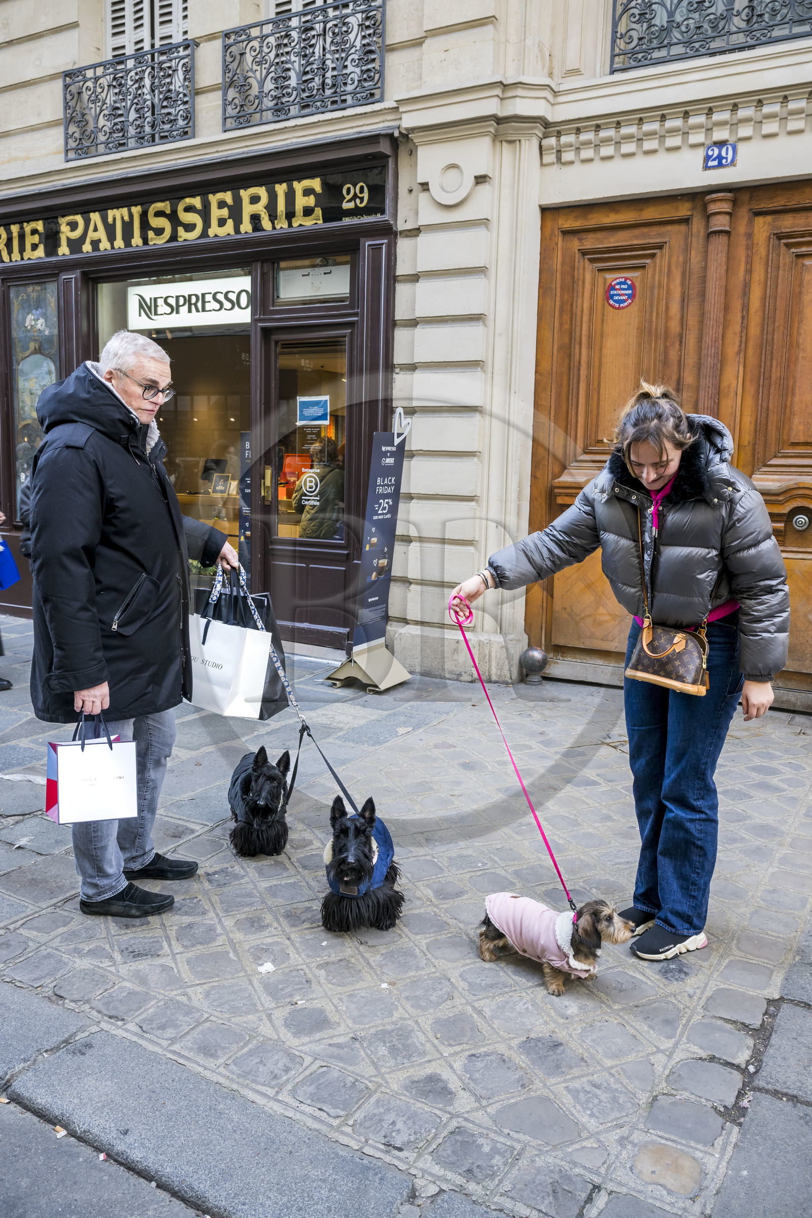 France, Paris, Marais district, dog walking on rue des Francs Bourgeois