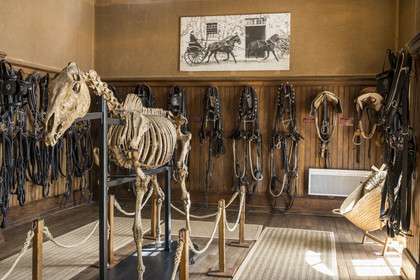 France, Vendée (85), La Roche-sur-Yon, sellerie d'honneur du Haras de la Vendée ancien haras national conçu par Joseph Mallet (1846)