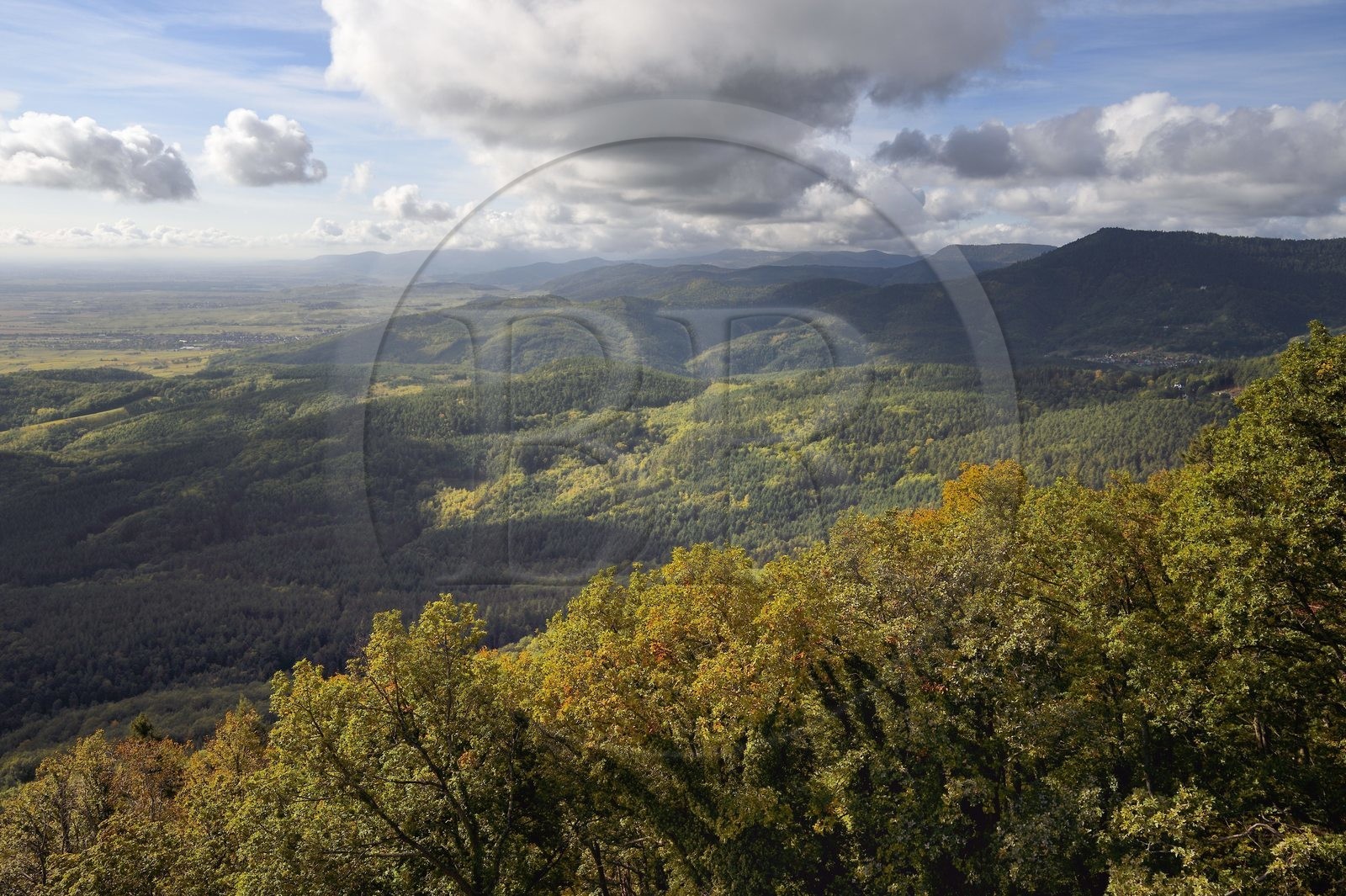 France, Bas Rhin, Orschwiller, Alsace Wine Road, Haut Koenigsbourg Castle, the eastern slope of the Vosges towards Thannenkirch in the background on the right seen from the castle of Haut-Koenigsbourg