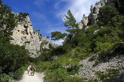 France, Bouches du Rhone, Cassis, the path leading to the En Vau creek (calanque)