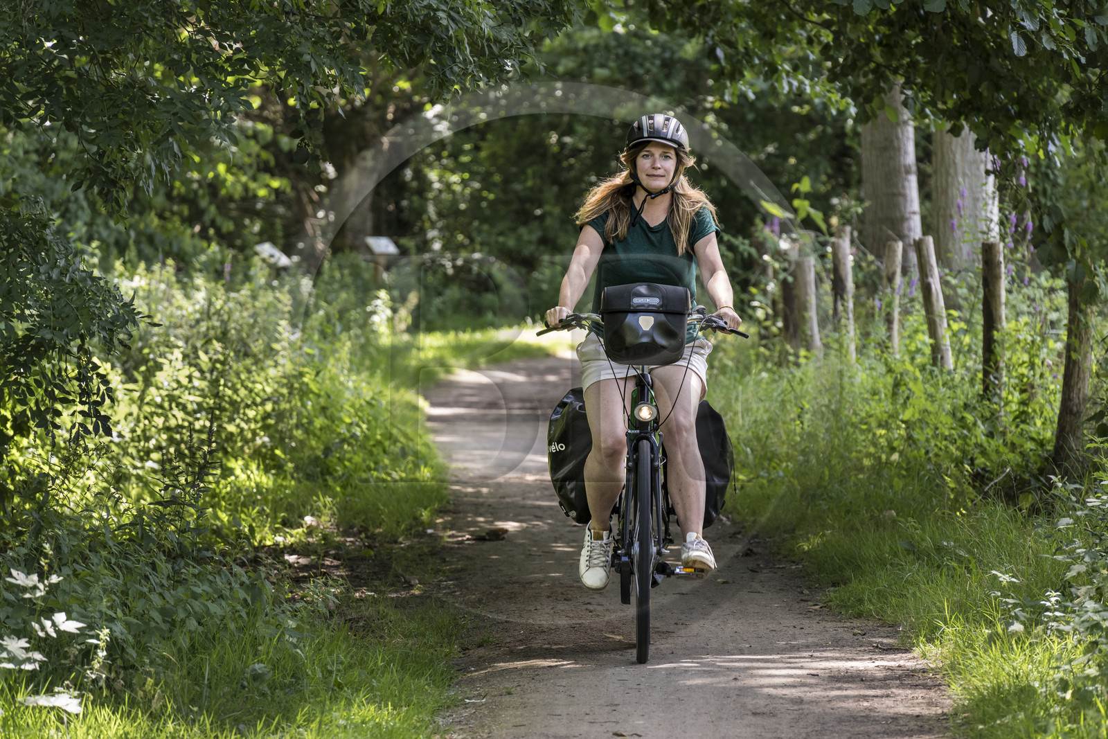 France, Deux-Sèvres (79), le Marais Poitevin, la Venise Verte, Sansais, bicycle journey on the Vélo Francette cycle path, bike with a trailer carrying camping equipment