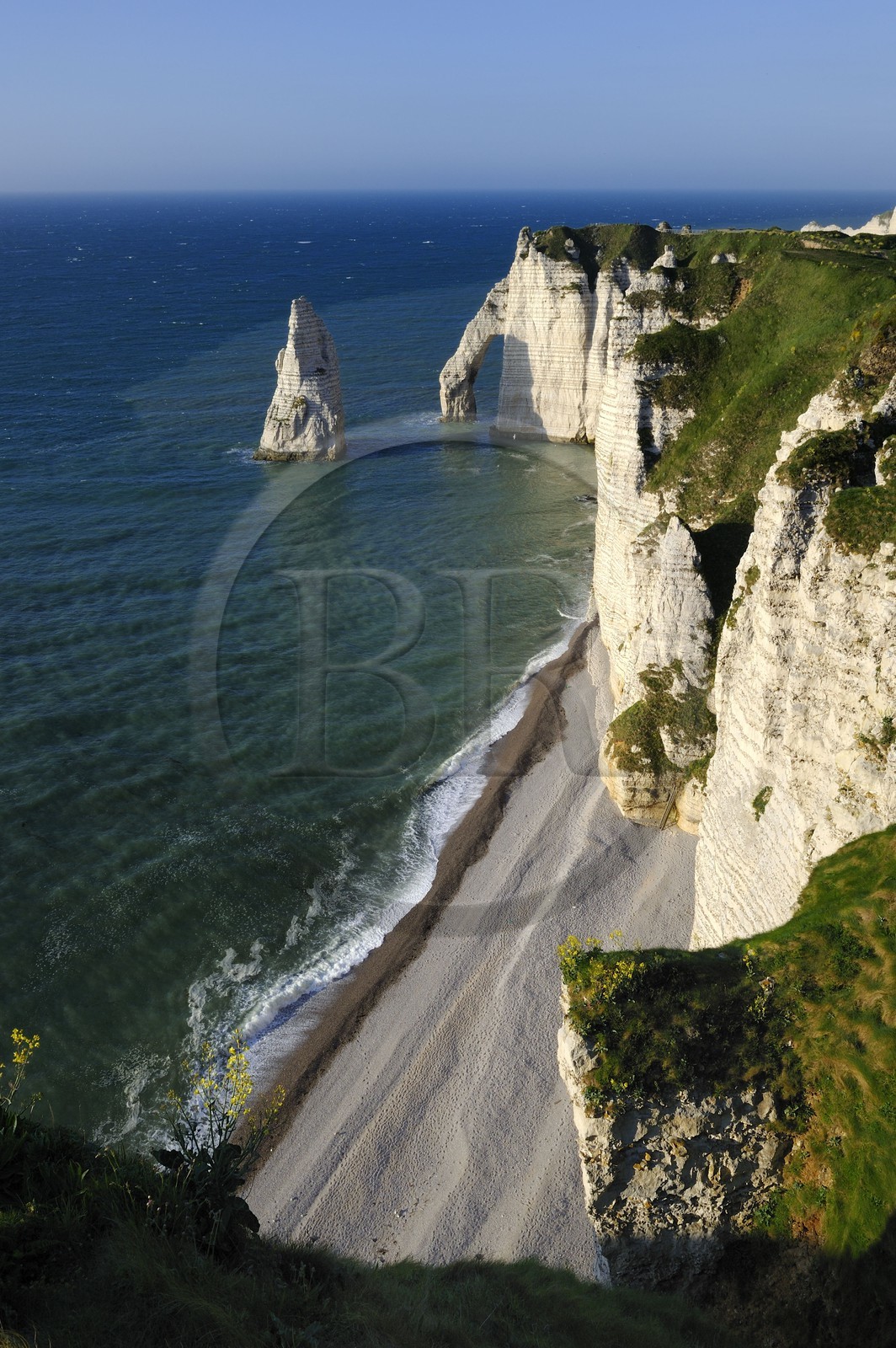 France, Seine Maritime, Pays de Caux, Cote d'Albatre, Etretat, the Aval Cliff and the Aiguille Creuse