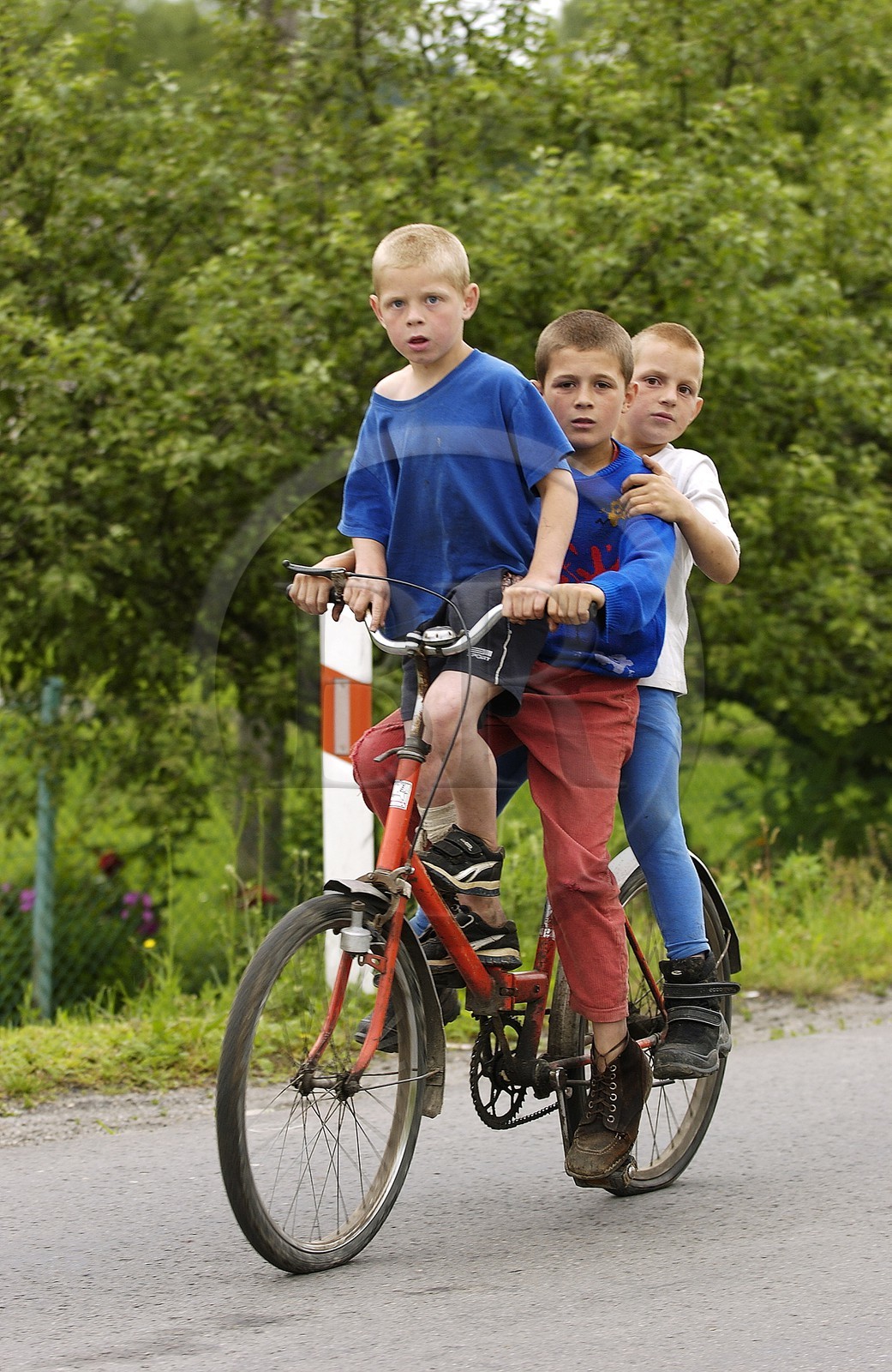 Poland, Sub-Carpathia, children riding a bike