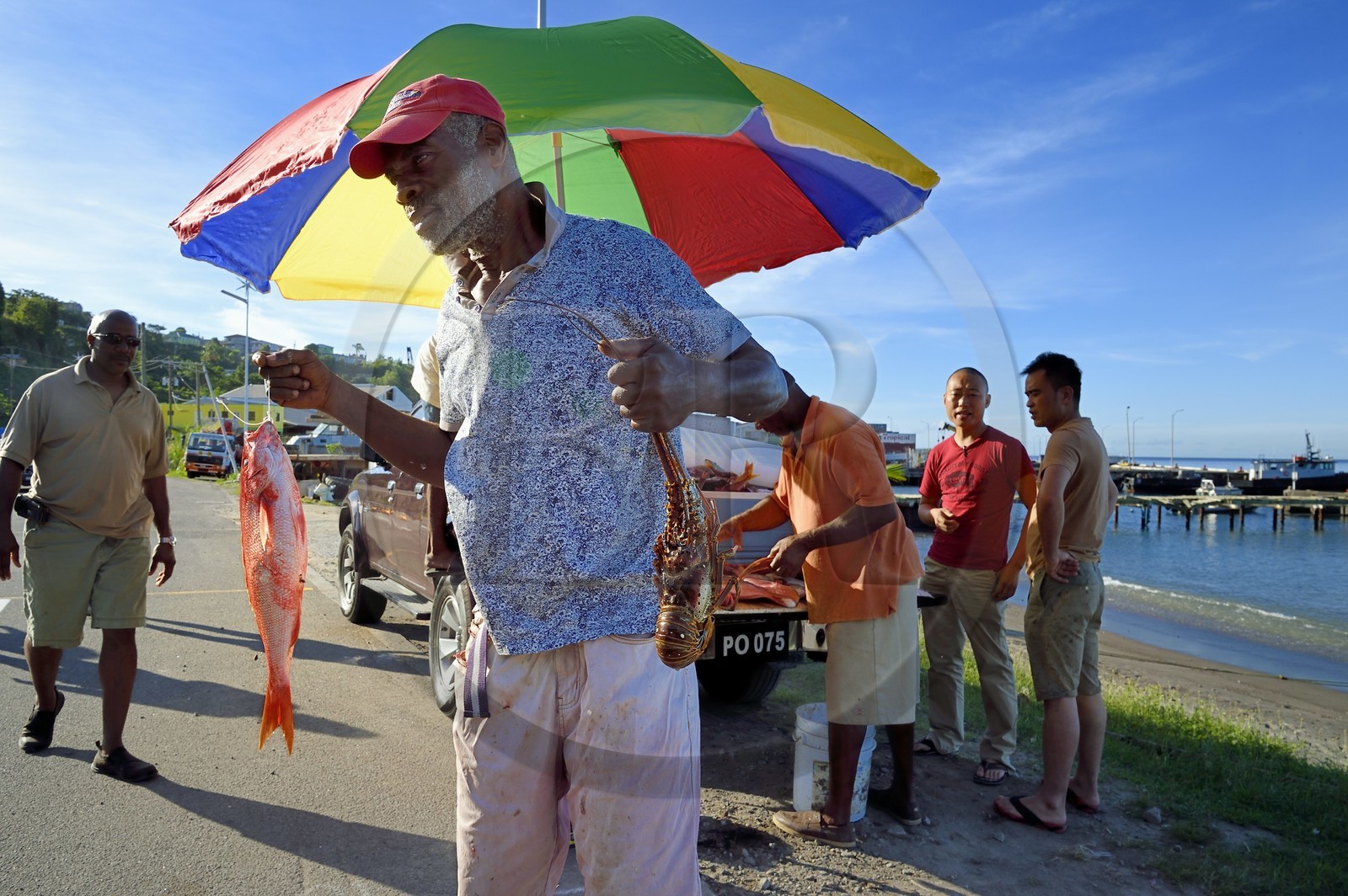 Caribbean, Dominica Island, the capital city Roseau, roadside fish seller