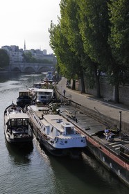 France, Paris (75), péniches amarées quai de Conti avec l'Ile de la Cité au fond