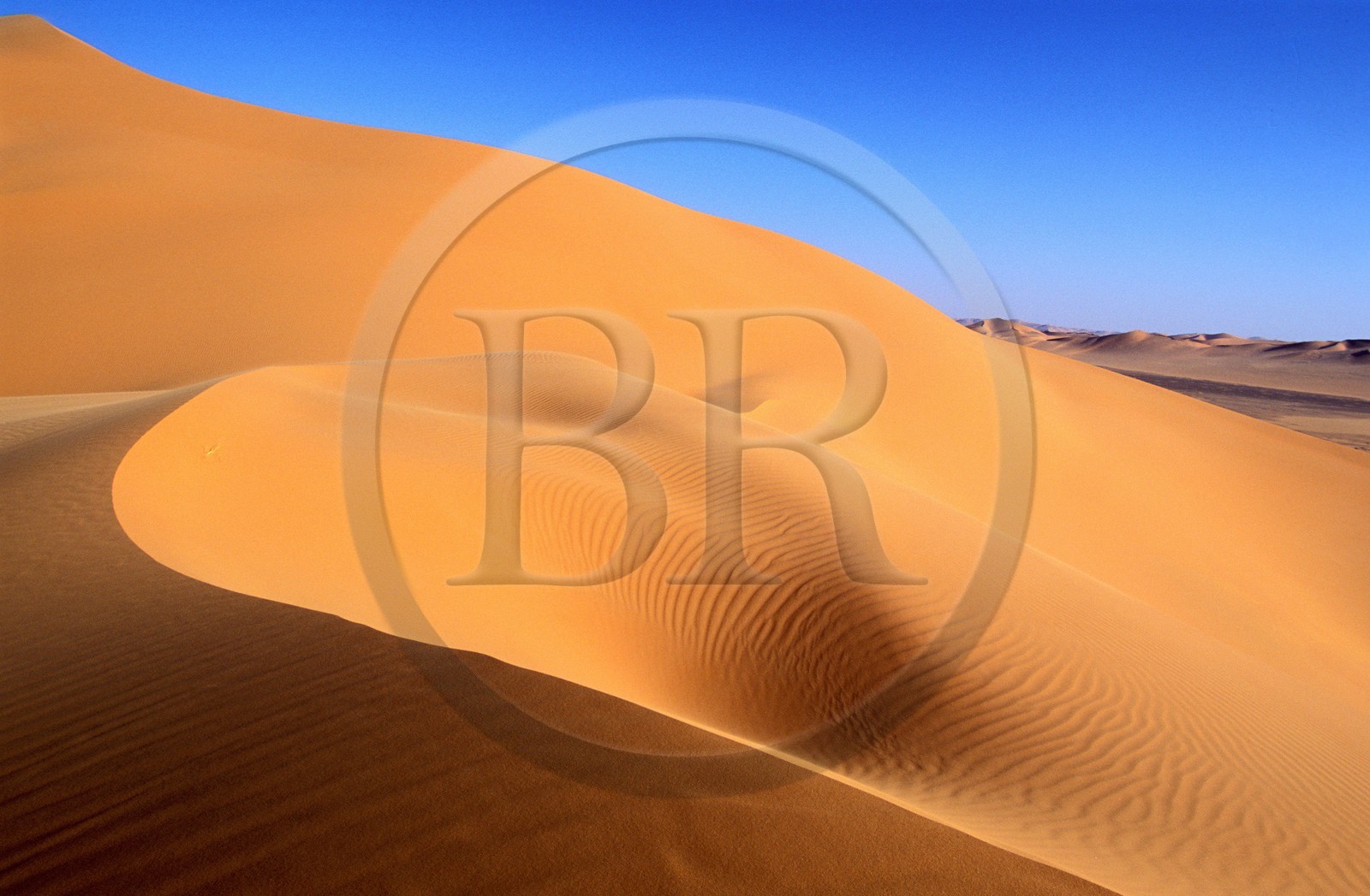 Libye, région du désert, Le Fezzan (Sahara), dunes de sable (Erg de Ouan Kasa)