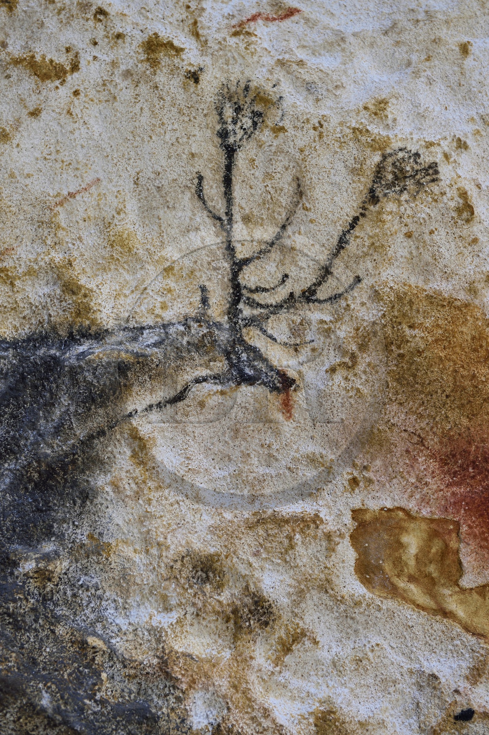 France, Dordogne, Montignac, the Atelier des Fac-Similés du Périgord (Perigord's Facsimile Workshop AFSP) specialised in mineral reproduction of prehistoric painted walls using “stone veil” patented technique and in charge of the Lascaux cave’s walls faithfull reconstitution, deer, compulsory mention Atelier des Fac-Similés du Perigord