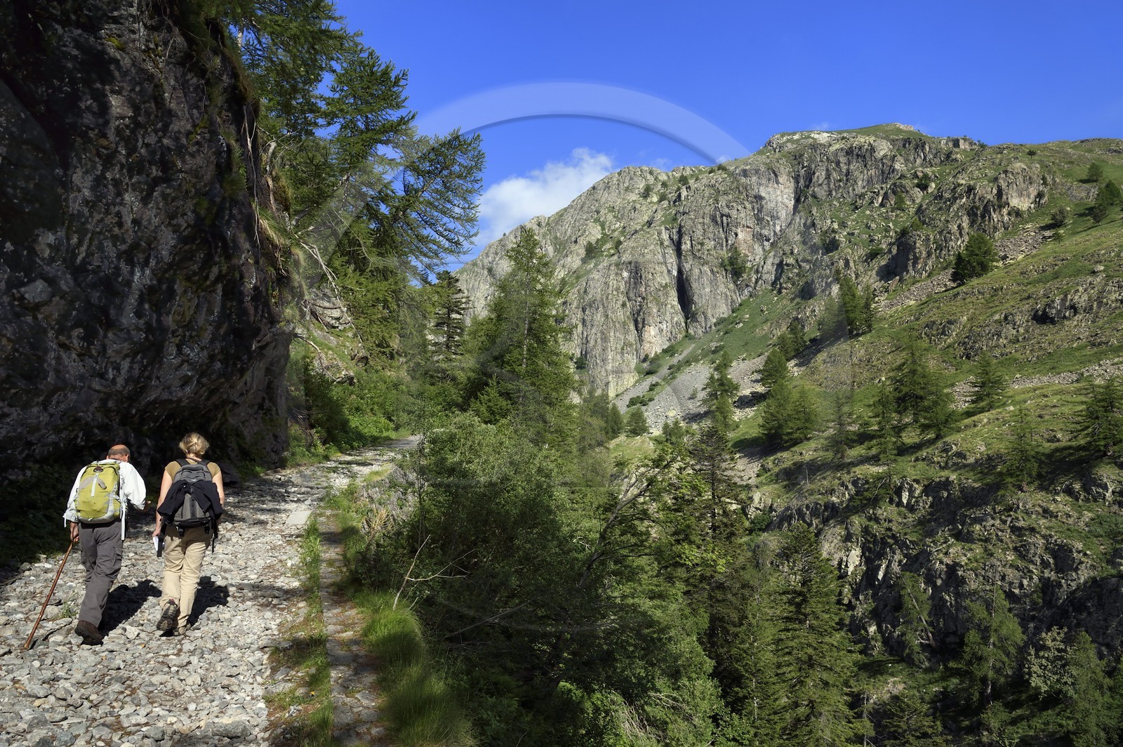 France, Alpes-Maritimes (06), parc national du Mercantour, vallée de la Valmasque, ancienne piste construite par les italiens sous Mussolini en bordure des gorges à l'entrée de la vallée